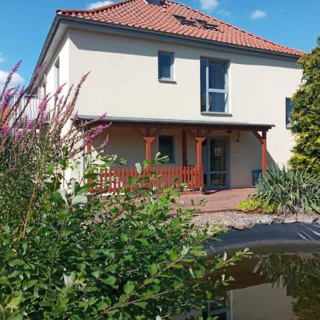 Ferienwohnung Toelle Bad Rehburg Экстерьер фото