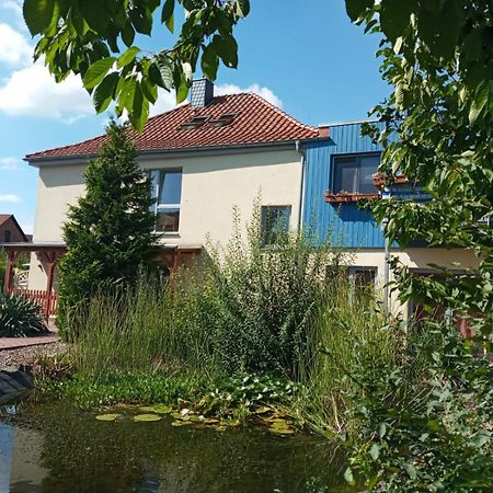 Ferienwohnung Toelle Bad Rehburg Экстерьер фото